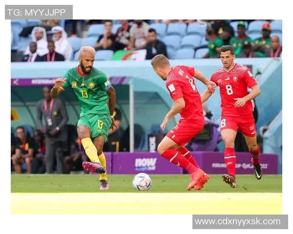 瑞士与喀麦隆足球明星的辉煌历程与精彩对决 瑞士与喀麦隆足球明星的辉煌历程与精彩对决