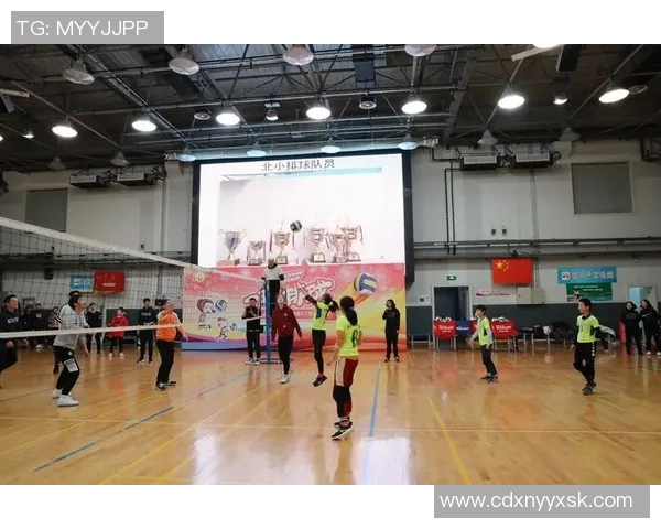 深入分析上海排球队的运营策略与发展模式探讨 深入分析上海排球队的运营策略与发展模式探讨