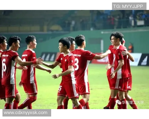 深圳足球队在冠军赛中的战术解析与表现评估 深圳足球队在冠军赛中的战术解析与表现评估