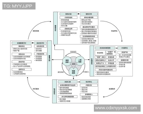 广州排球队创新盯防战术解析与实践效果评估 广州排球队创新盯防战术解析与实践效果评估