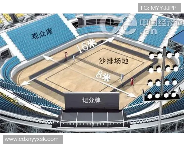 广州排球队的运营揭秘与深度分析探讨排球运动的未来发展方向