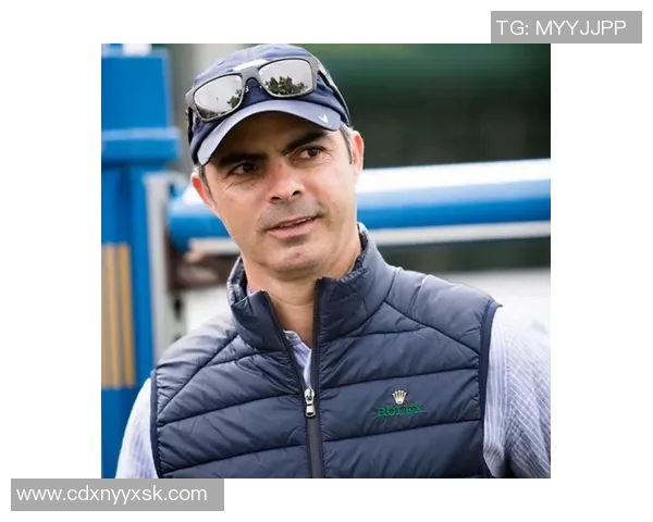 杨伟独家分享羽毛球技巧与心得助你提升竞技水平与乐趣