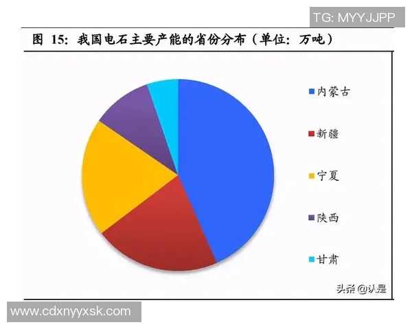 杭州网球队转型之路：探索网球深度与未来发展的新机遇