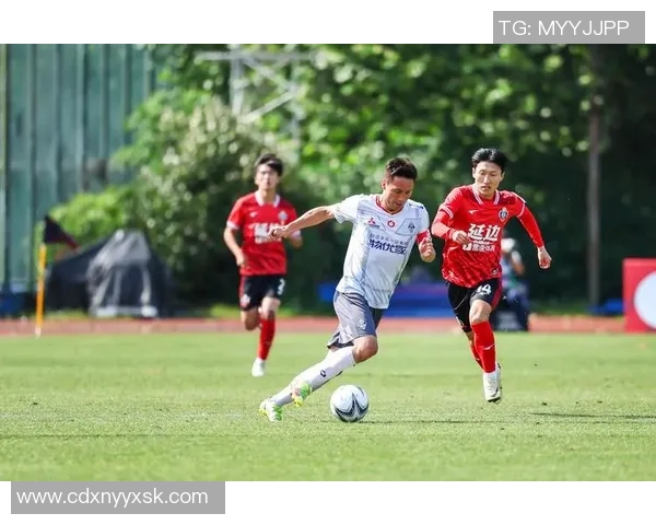 杭州足球队实力强劲荣登全国足球力量排行榜第五名