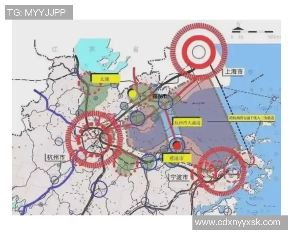 深入剖析杭州排球队近期状态表现与未来发展趋势 深入剖析杭州排球队近期状态表现与未来发展趋势